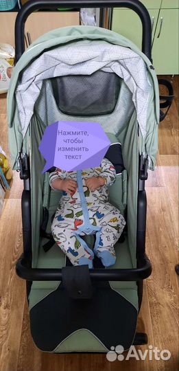 Прогулочная коляска rant