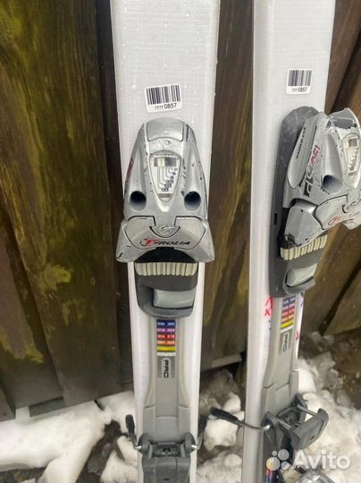 Горные лыжи Salomon Thruster