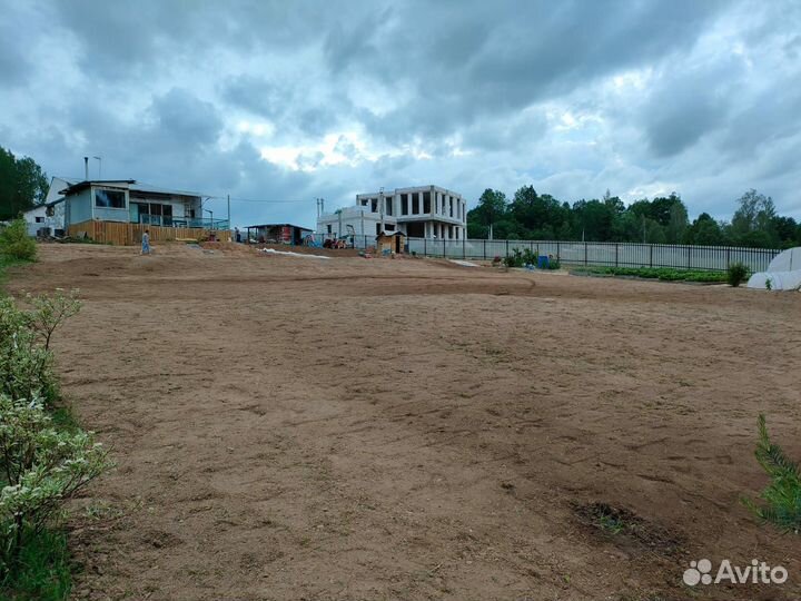 Посев газона