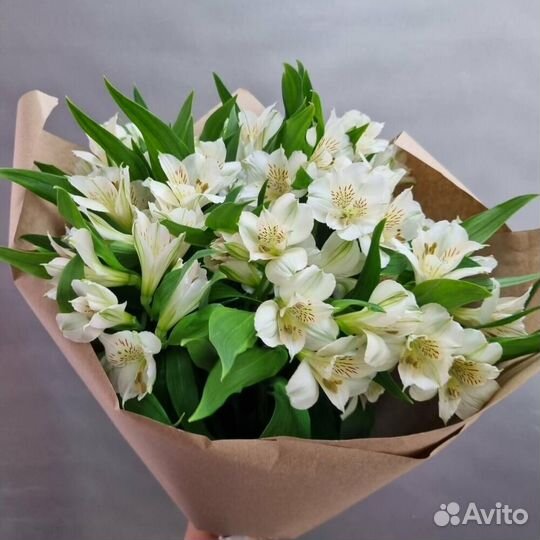 Альстромерия белая 9 шт