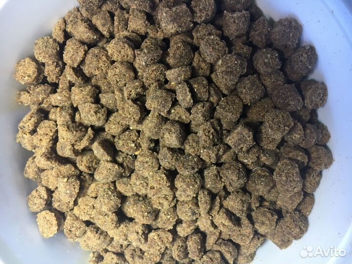 Корм для форели осётра клариевого сома