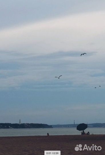 Видеопоздравления / Видеомонтаж