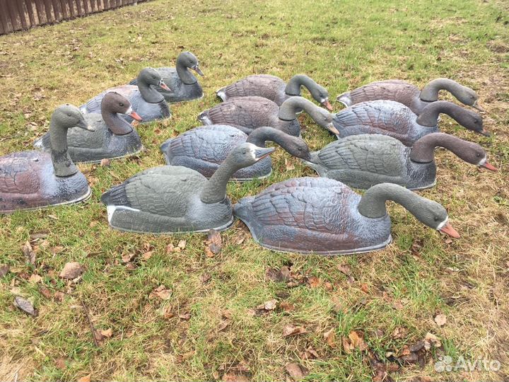 Чучела гусей для охоты бу