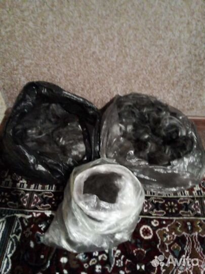 Собачья шерсть