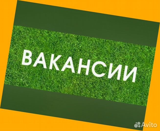 Сборщик авто вахта Выплаты еженедельно Жилье/Еда +Хорошие условия