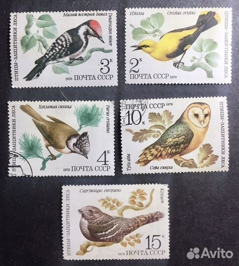 Почтовые марки: фауна птицы (11 наборов)