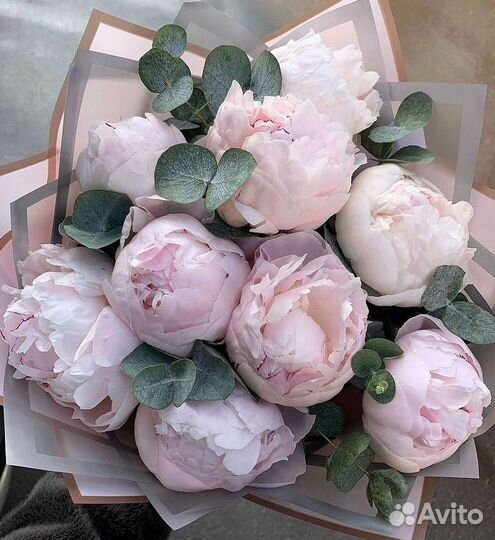 Пионы Букет пионов
