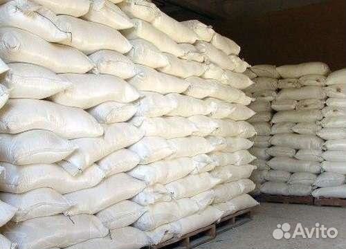 Ракушка кормовая морская