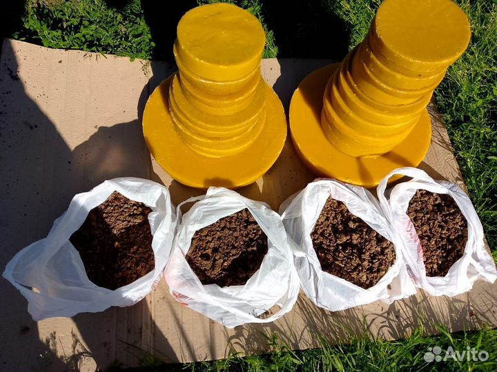 Прополис пчелиный