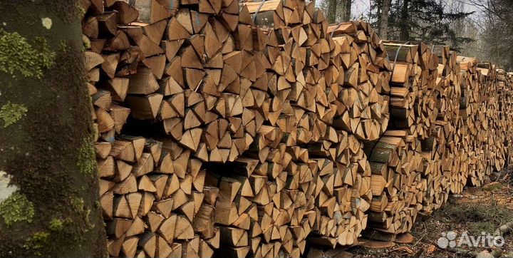 Дрова ольха осина