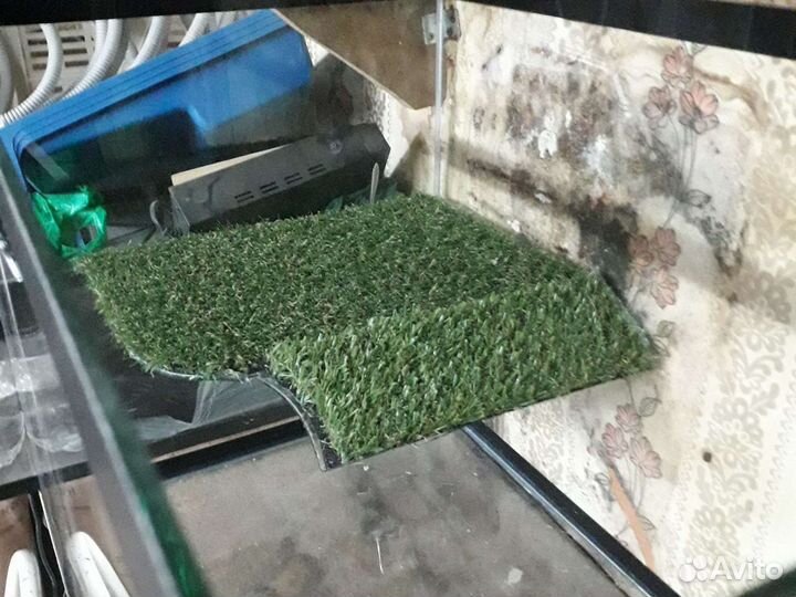 Террариум для чпрепах