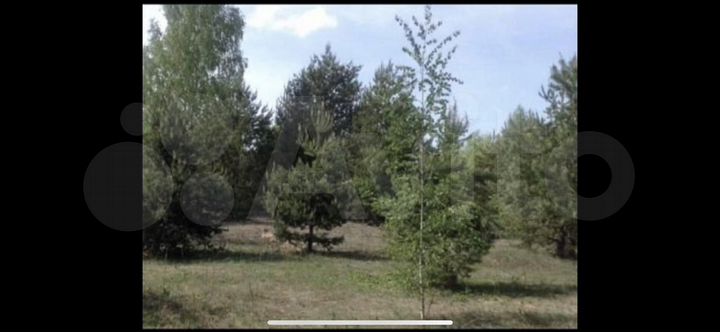 Участок 13 сот. (ИЖС)