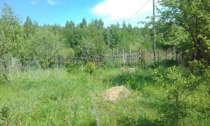 Участок 4 сот. (СНТ, ДНП)