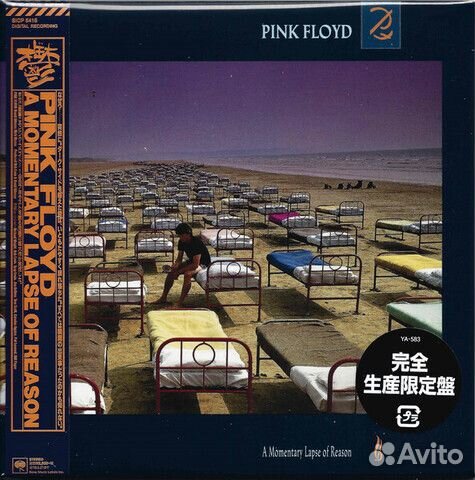 Pink Floyd / A Momentary Lapse Of Reason (Mini LP