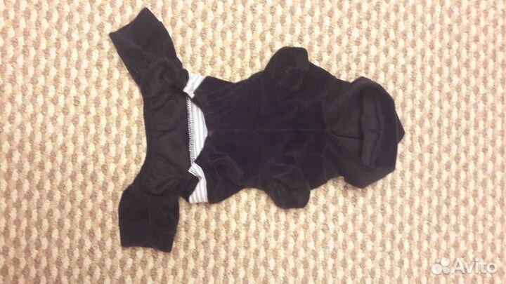 Одежда для собак, Велюровый костюм