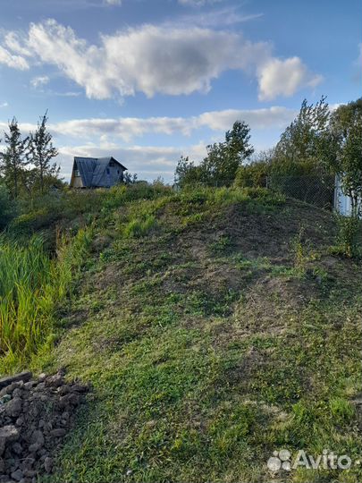 Отдам бесплатно грунт