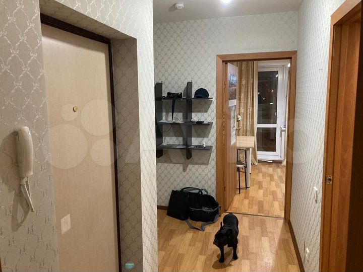 1-к. квартира, 38,4 м², 2/10 эт.