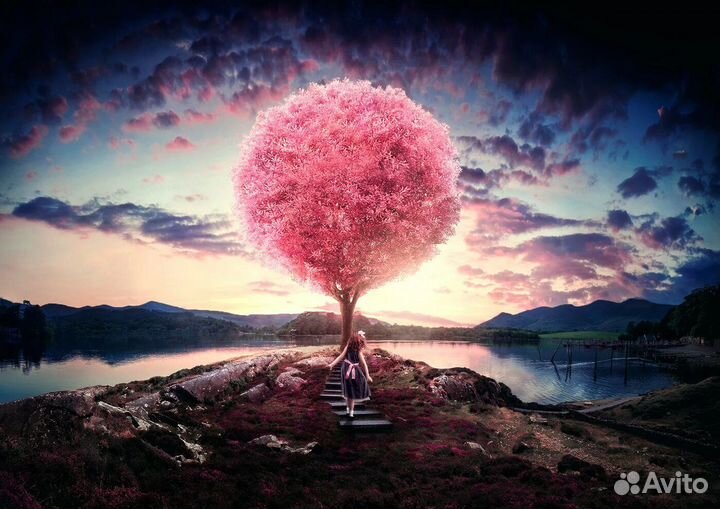 Adobe creative cloud Официальная подписка 2023