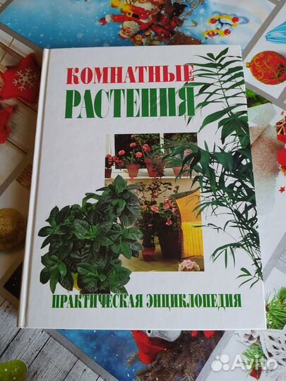 Комнатные растения