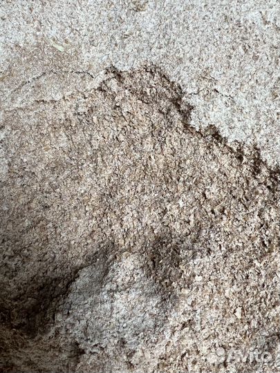 Премиум Отруби пшеничные оптом