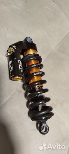 Specialized status mullet