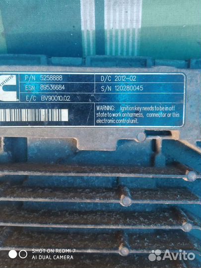 Эбу на соболь