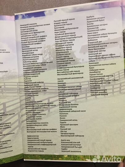 Энциклопедия о собаках