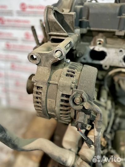 Контрактный двигатель shdb Ford 1.6