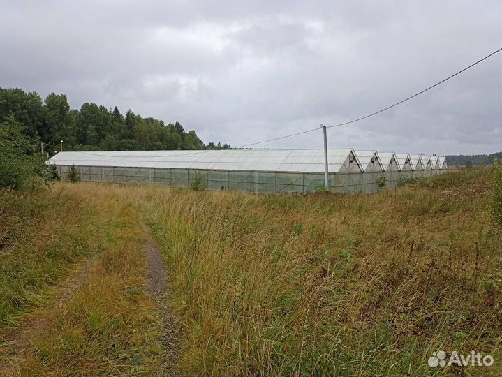 Теплица на продажу