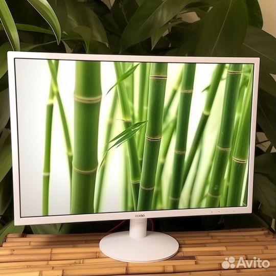 Большой выбор мониторов с доставкой и гарантией