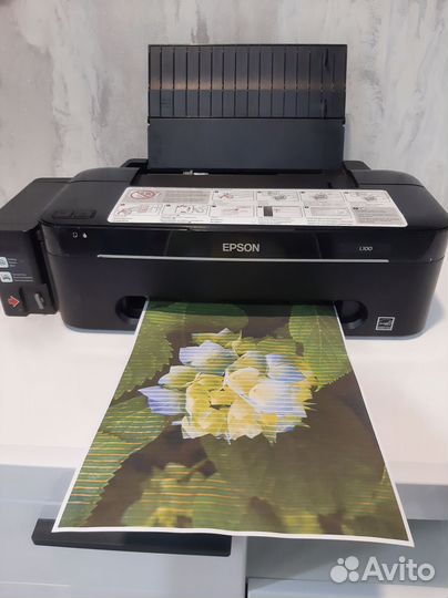 Принтер Epson L100