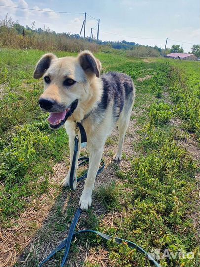 Парень в приюте