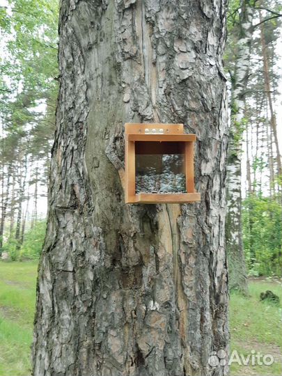 Дуплянки домики для белок и кормушки