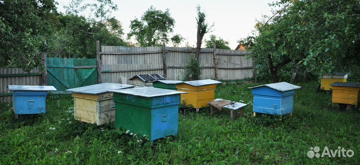 Продам ульи для пчел