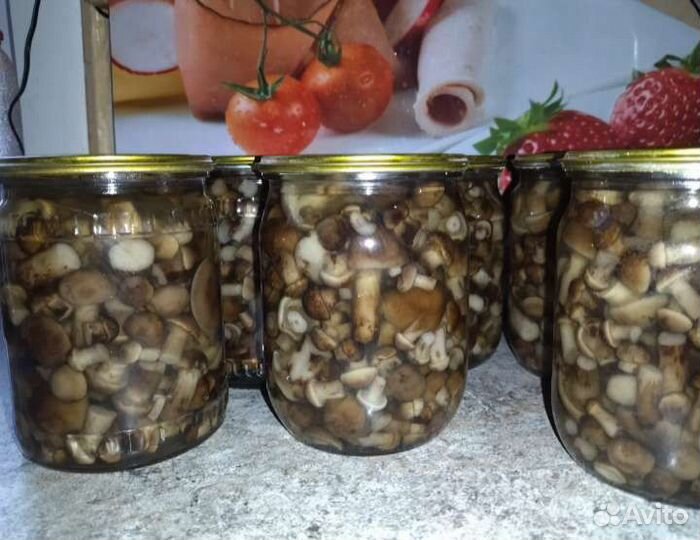 Грибы опята маринованные