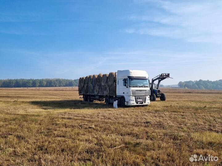 Сено в рулонах 2023