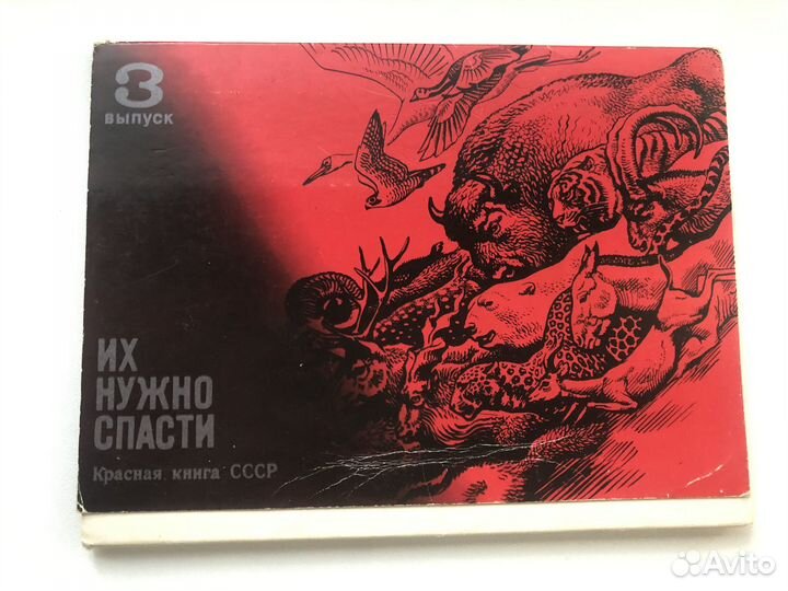 Открытки редкие СССР