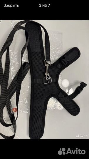 Шлейка для кошки или мелкой собаки