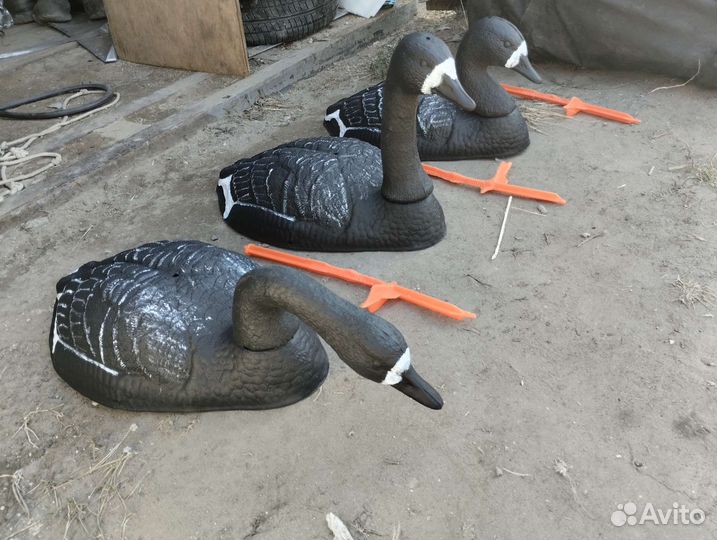 Чучела гусей белолобый