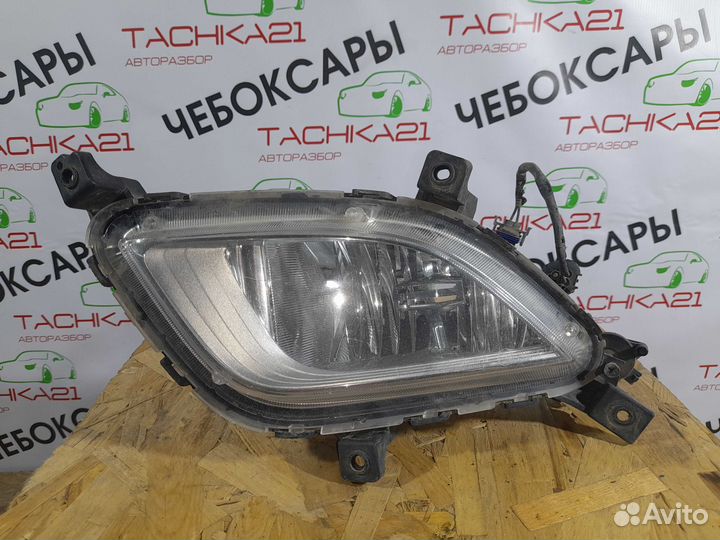 Фара противотуманная правая Kia Cerato 3 2013-2016