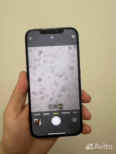 iPhone 12 Pro Max, 256 ГБ