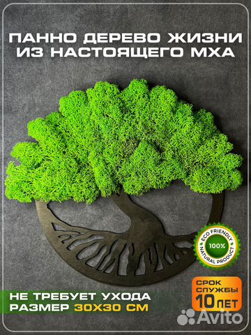 Панно из мха