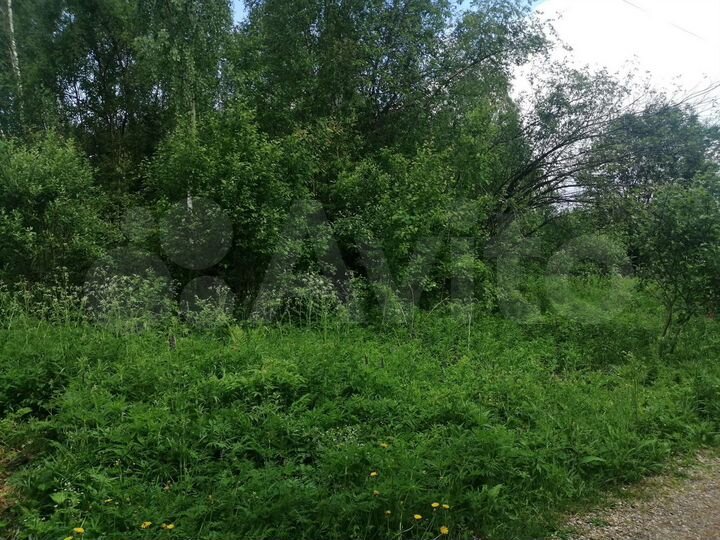 Участок 7,1 сот. (СНТ, ДНП)