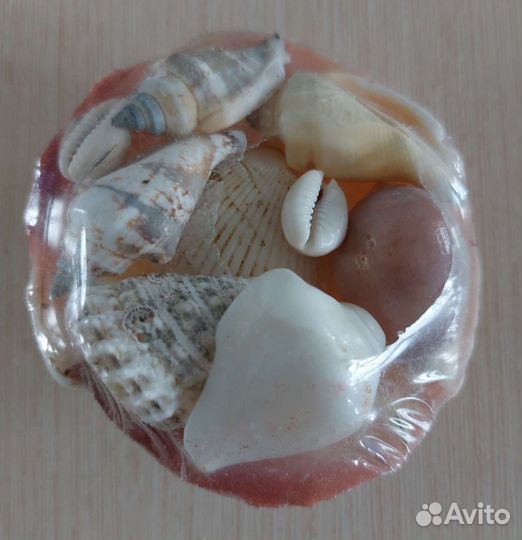 Ракушки для аквариума