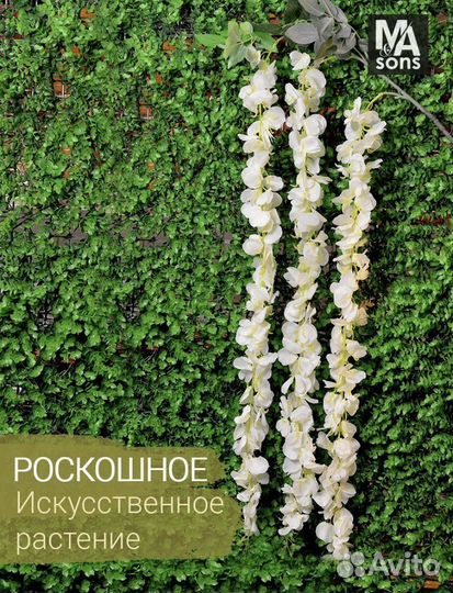 Лиана,глициния, зелень, рускус, все для свадьбы