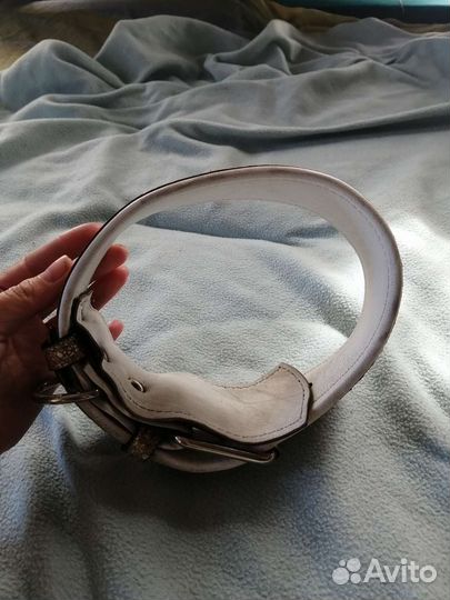 Ошейники для собак