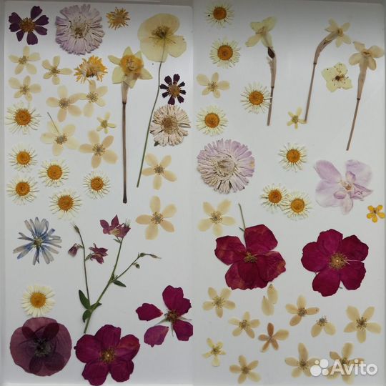 Цветы для эпоксидной смолы, сухоцветы