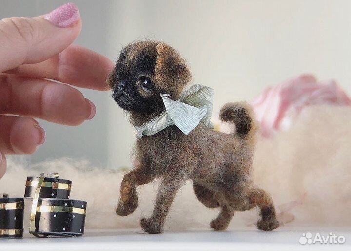 Миниатюрная собака гриффон