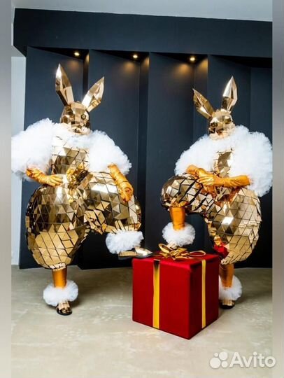 Зеркальные драконы/Зайцы на велком зону