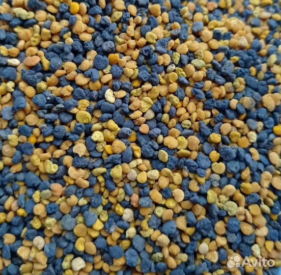 Пыльца, перга, прополис 2023 года